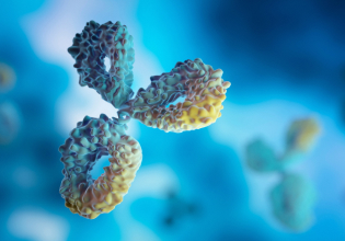 자가면역항체 검사